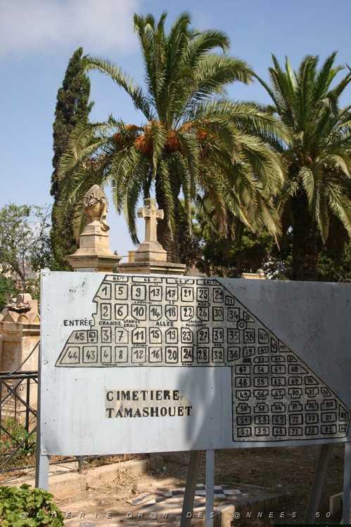 ORAN 2008 CIMETIERE DE TAMASHOUET 112 Planvertical.jpg